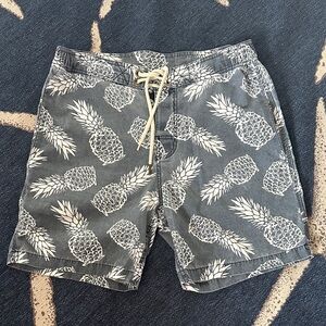 Paperbacks Men's Pineapple Print Swim Shorts - Gray